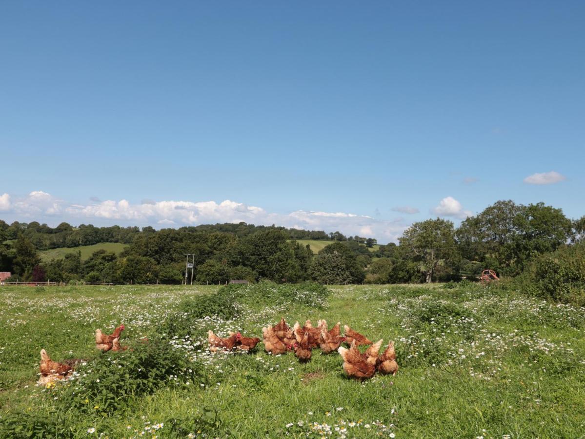 Winscombe The Cider Shed 아파트 외부 사진